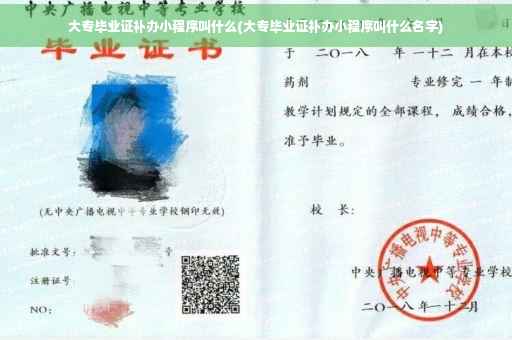 大专毕业证补办小程序叫什么(大专毕业证补办小程序叫什么名字)