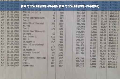 初中毕业证到哪里补办手续(初中毕业证到哪里补办手续呢)