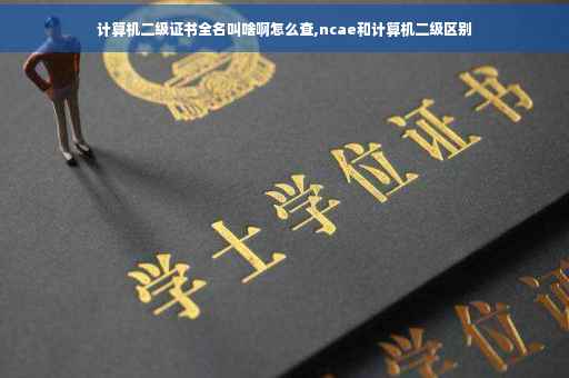 计算机二级证书全名叫啥啊怎么查,ncae和计算机二级区别
