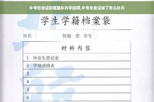 中专毕业证到哪里补办手续呢,中专毕业证掉了怎么补办