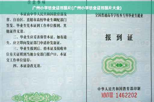 广州小学毕业证书图片(广州小学毕业证书图片大全)