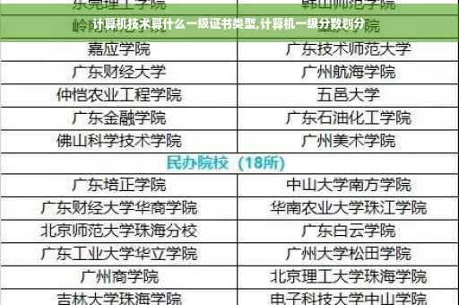 计算机技术算什么一级证书类型,计算机一级分数划分