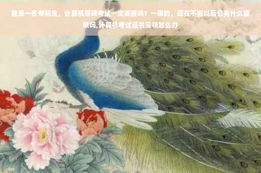 我是一名专科生，计算机等级考试一定要报吗？一级的，现在不报以后会有什么麻烦吗,计算机考试证书没领怎么办