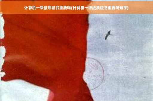 计算机一级纸质证书重要吗(计算机一级纸质证书重要吗知乎)
