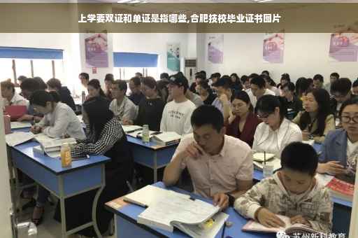 上学要双证和单证是指哪些,合肥技校毕业证书图片