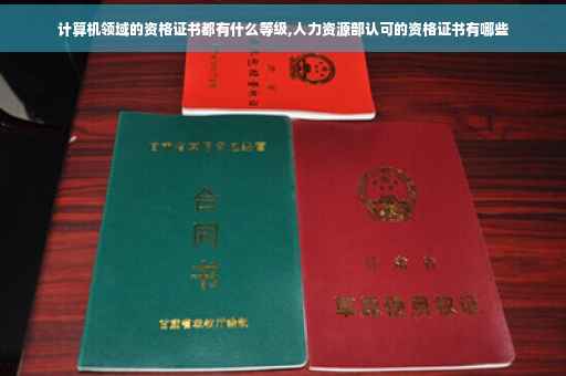 计算机领域的资格证书都有什么等级,人力资源部认可的资格证书有哪些