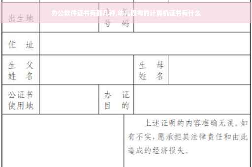 办公软件证书有那几种,幼儿园考的计算机证书有什么