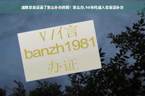 成教毕业证丢了怎么补办的啊！怎么办,90年代成人毕业证补办