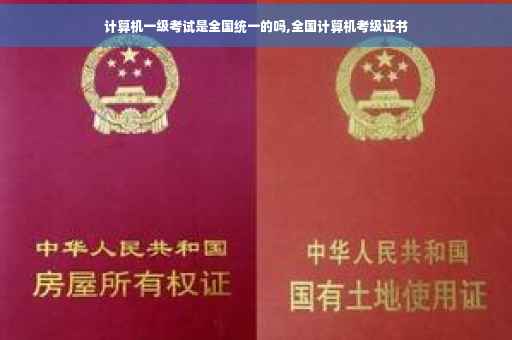 计算机一级考试是全国统一的吗,全国计算机考级证书