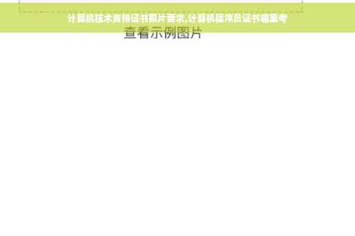 计算机技术资格证书照片要求,计算机程序员证书哪里考