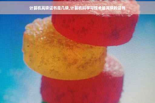 计算机高级证书是几级,计算机科学与技术最高级的证书