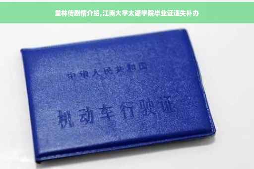 童林传剧情介绍,江南大学太湖学院毕业证遗失补办