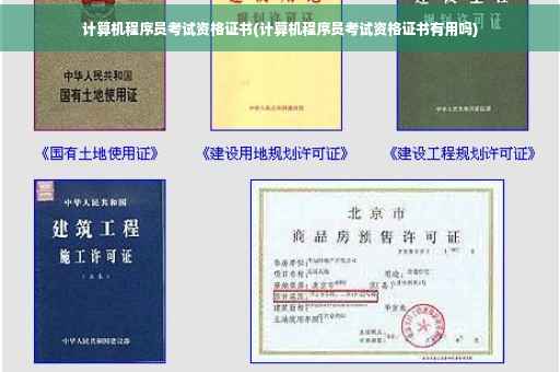 计算机程序员考试资格证书(计算机程序员考试资格证书有用吗)