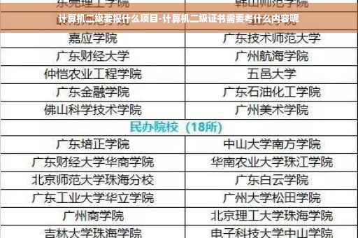 计算机二级要报什么项目-计算机二级证书需要考什么内容呢