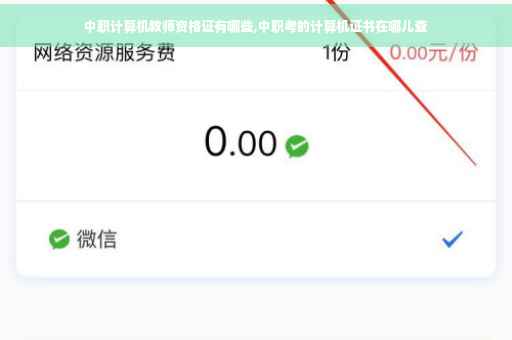 中职计算机教师资格证有哪些,中职考的计算机证书在哪儿查