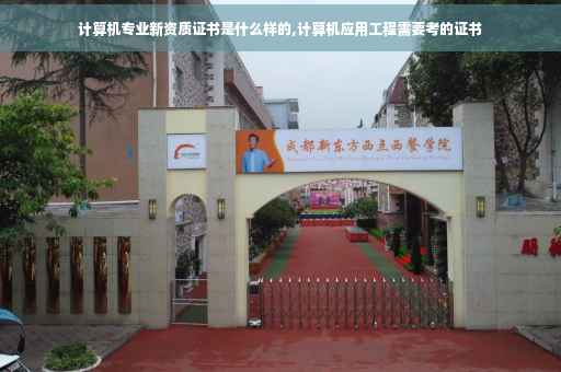 计算机专业新资质证书是什么样的,计算机应用工程需要考的证书
