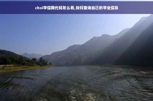 chsi学信网代码怎么看,如何查询自己的学业信息