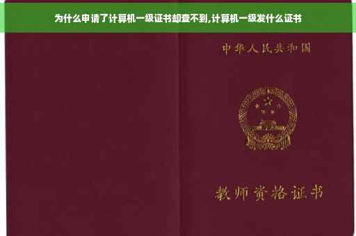 为什么申请了计算机一级证书却查不到,计算机一级发什么证书