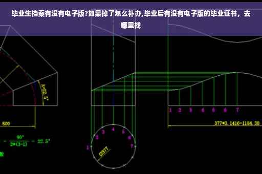 毕业生档案有没有电子版?如果掉了怎么补办,毕业后有没有电子版的毕业证书，去哪里找
