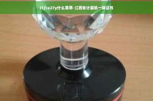 l1j1x27y什么意思-江西省计算机一级证书