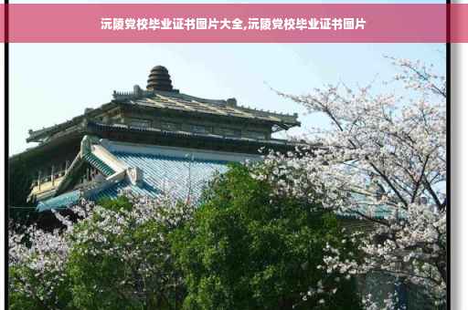 沅陵党校毕业证书图片大全,沅陵党校毕业证书图片