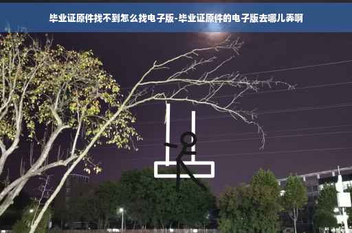 毕业证原件找不到怎么找电子版-毕业证原件的电子版去哪儿弄啊