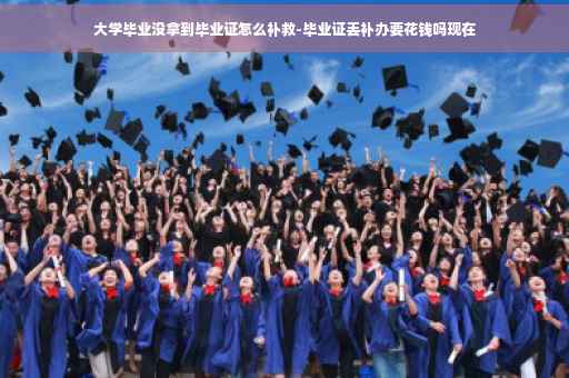 大学毕业没拿到毕业证怎么补救-毕业证丢补办要花钱吗现在