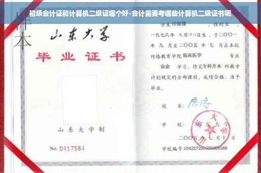 初级会计证和计算机二级证哪个好-会计需要考哪些计算机二级证书呢