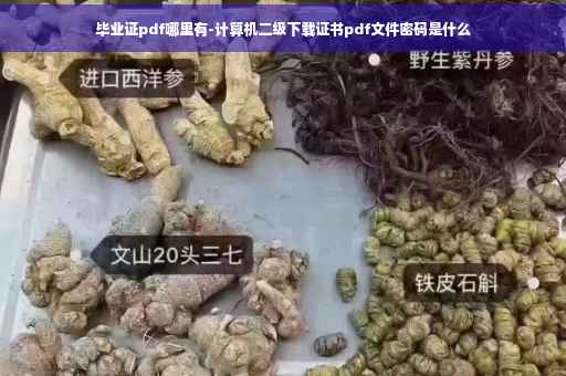 毕业证pdf哪里有-计算机二级下载证书pdf文件密码是什么
