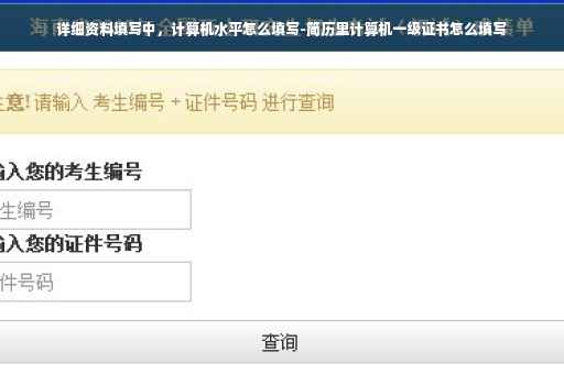 详细资料填写中，计算机水平怎么填写-简历里计算机一级证书怎么填写