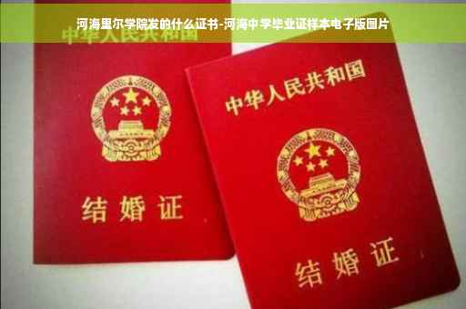 河海里尔学院发的什么证书-河海中学毕业证样本电子版图片
