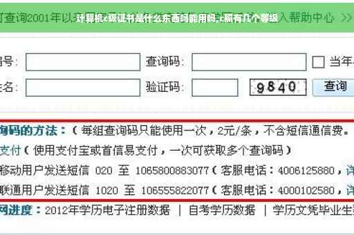 计算机c级证书是什么东西吗能用吗,c照有几个等级