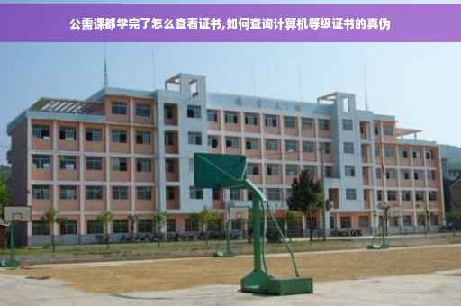 公需课都学完了怎么查看证书,如何查询计算机等级证书的真伪