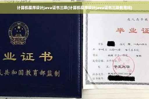 计算机程序设计java证书三级(计算机程序设计java证书三级有用吗)