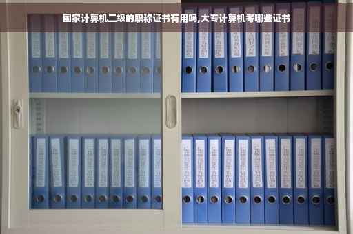 国家计算机二级的职称证书有用吗,大专计算机考哪些证书
