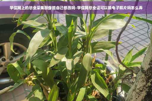 学信网上的毕业采集图像能自己修改吗-学信网毕业证可以换电子照片吗怎么弄