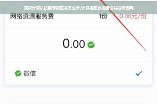 高级计算机技能等级证书怎么考,计算机职业技能证书报考官网