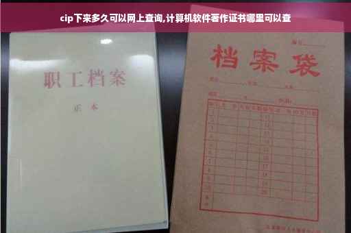cip下来多久可以网上查询,计算机软件著作证书哪里可以查