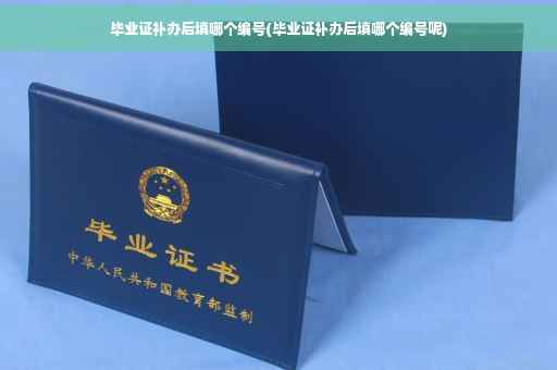 毕业证补办后填哪个编号(毕业证补办后填哪个编号呢)
