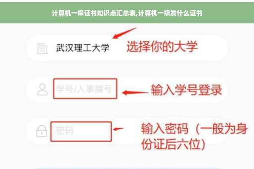 计算机一级证书知识点汇总表,计算机一级发什么证书