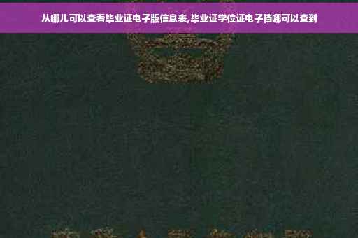 从哪儿可以查看毕业证电子版信息表,毕业证学位证电子档哪可以查到