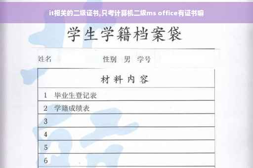 it相关的二级证书,只考计算机二级ms office有证书嘛