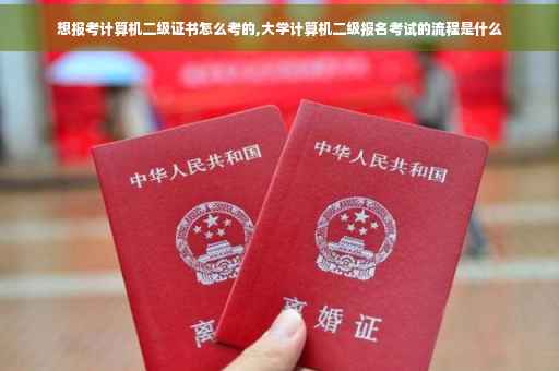 想报考计算机二级证书怎么考的,大学计算机二级报名考试的流程是什么