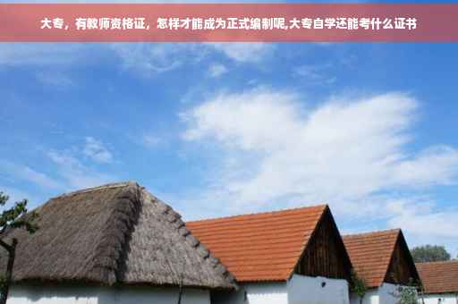 大专，有教师资格证，怎样才能成为正式编制呢,大专自学还能考什么证书