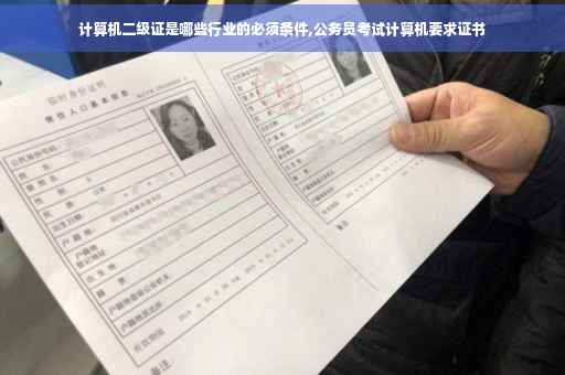 计算机二级证是哪些行业的必须条件,公务员考试计算机要求证书