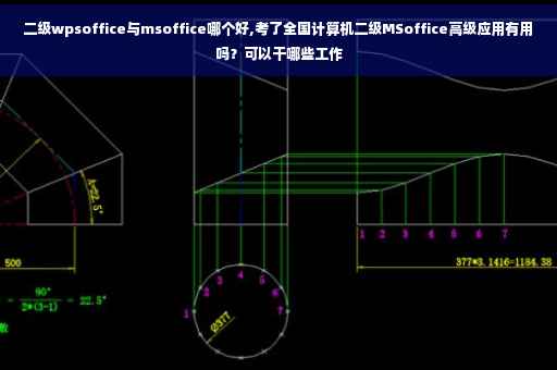 二级wpsoffice与msoffice哪个好,考了全国计算机二级MSoffice高级应用有用吗？可以干哪些工作