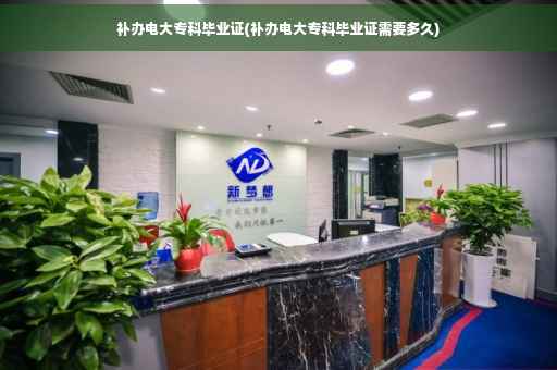 补办电大专科毕业证(补办电大专科毕业证需要多久)