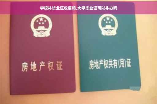 学校补毕业证收费吗,大学毕业证可以补办吗