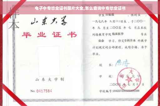电子中专毕业证书图片大全,怎么查询中专毕业证书
