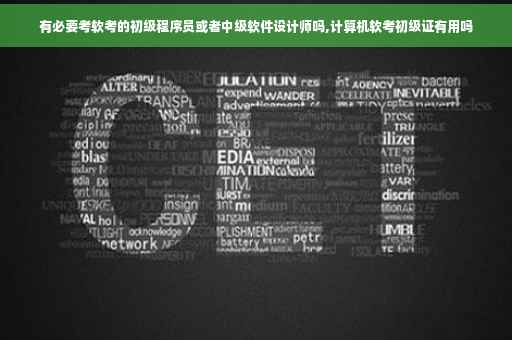 有必要考软考的初级程序员或者中级软件设计师吗,计算机软考初级证有用吗